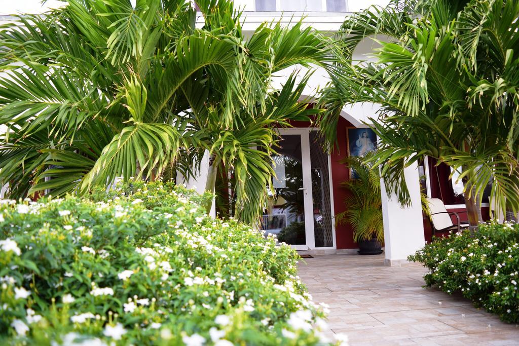 Ladybugs Apartments Παλμ Μπιτς Εξωτερικό φωτογραφία